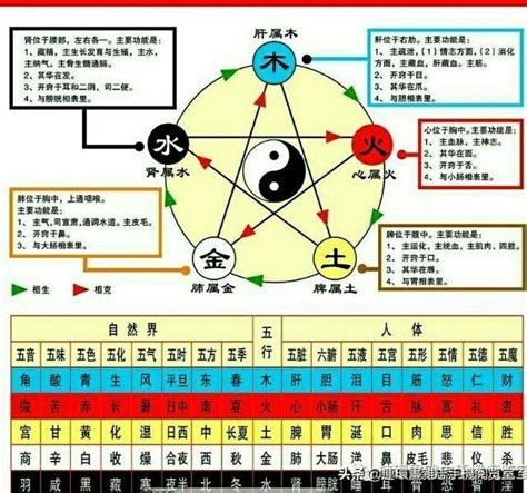 查金木水火土|五行查询 金木水火土五行查询表出生年月日